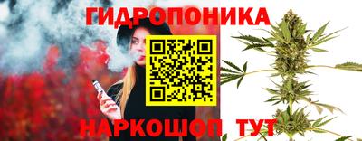 ГАЛЛЮЦИНОГЕННЫЕ ГРИБЫ Заволжье